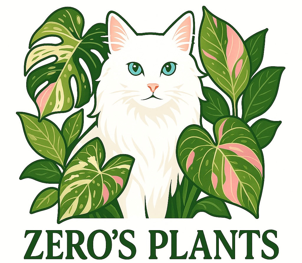 Zero’s Plants