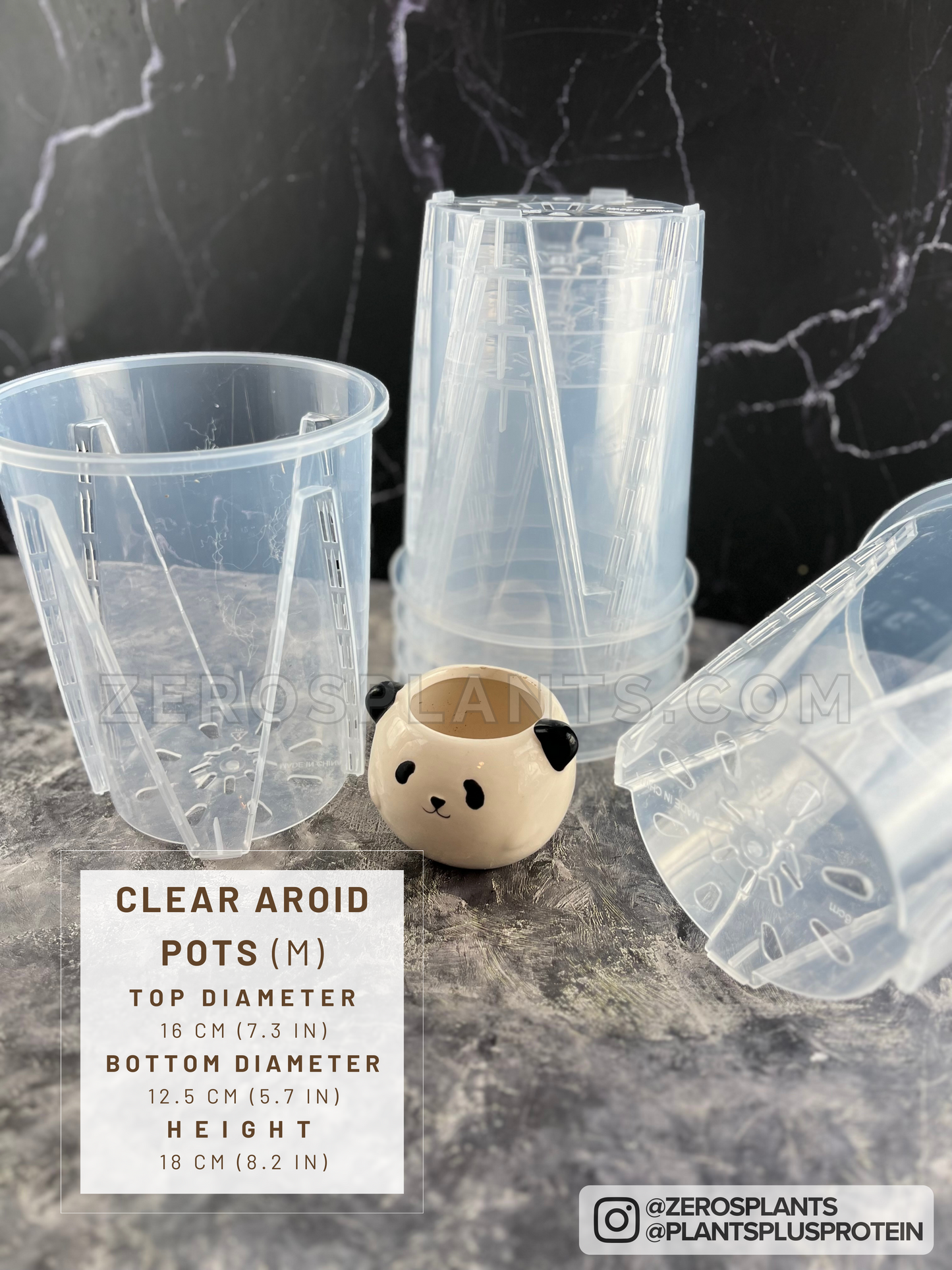 Aroid pots