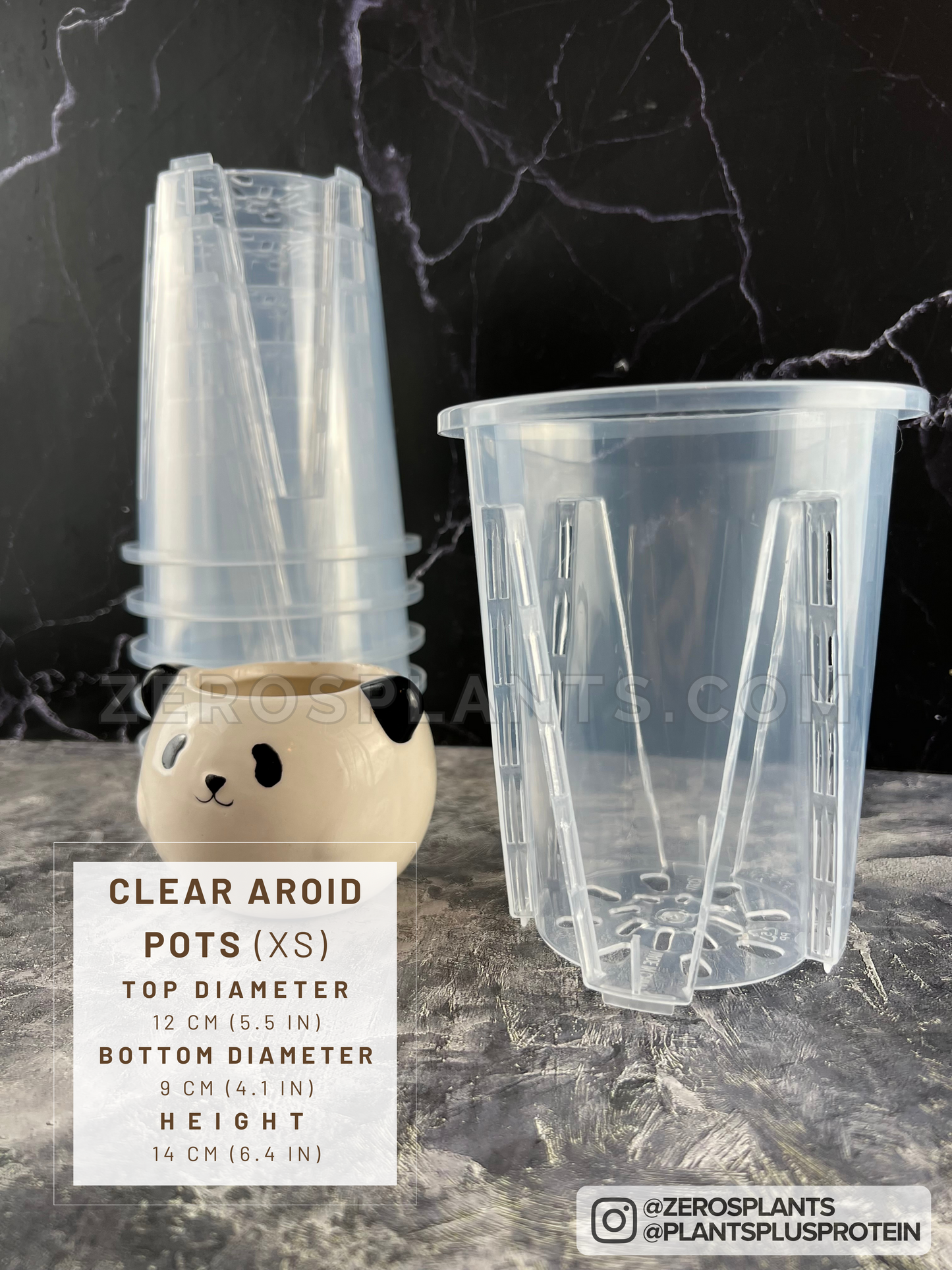 Aroid pots