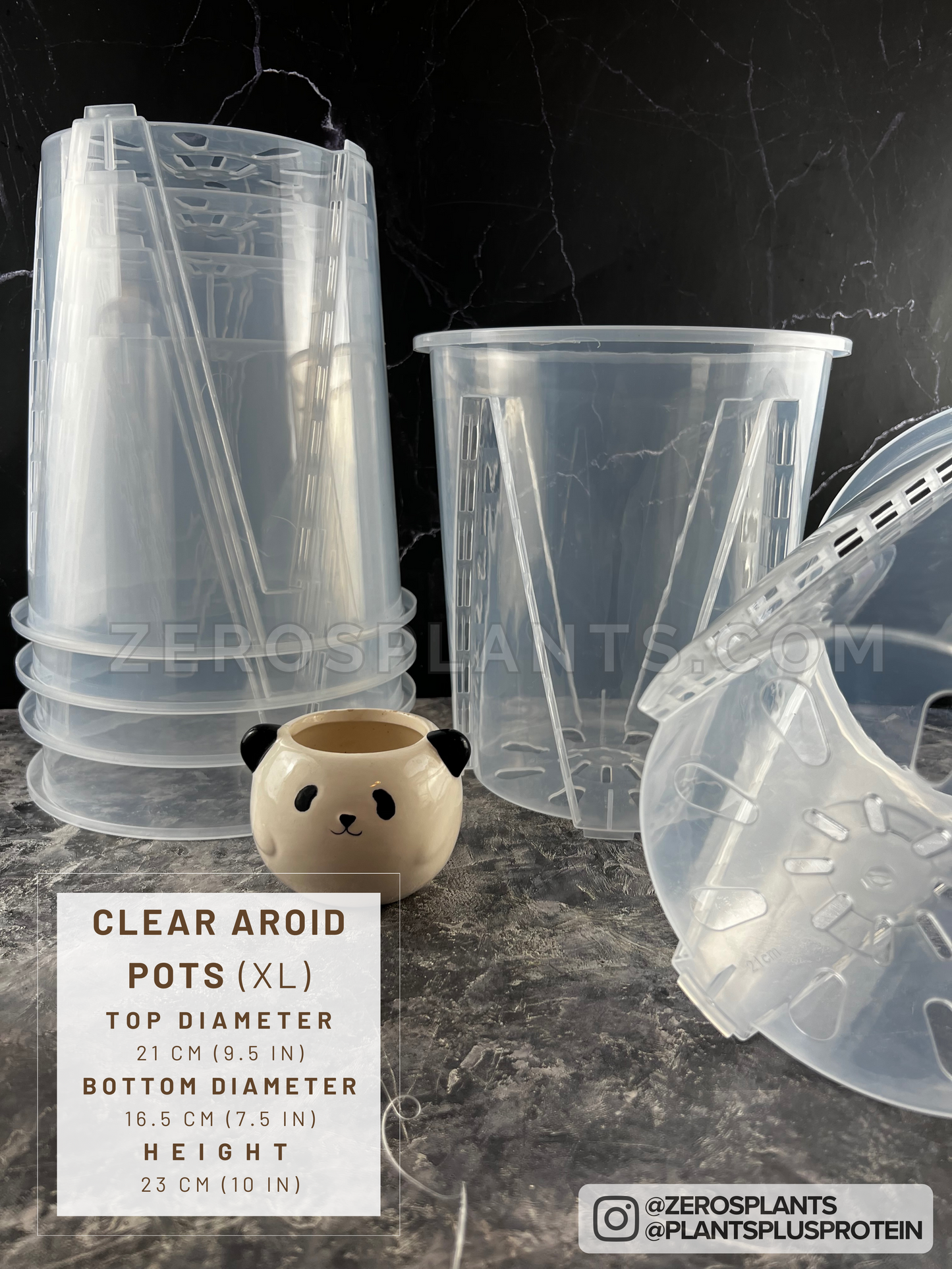Aroid pots