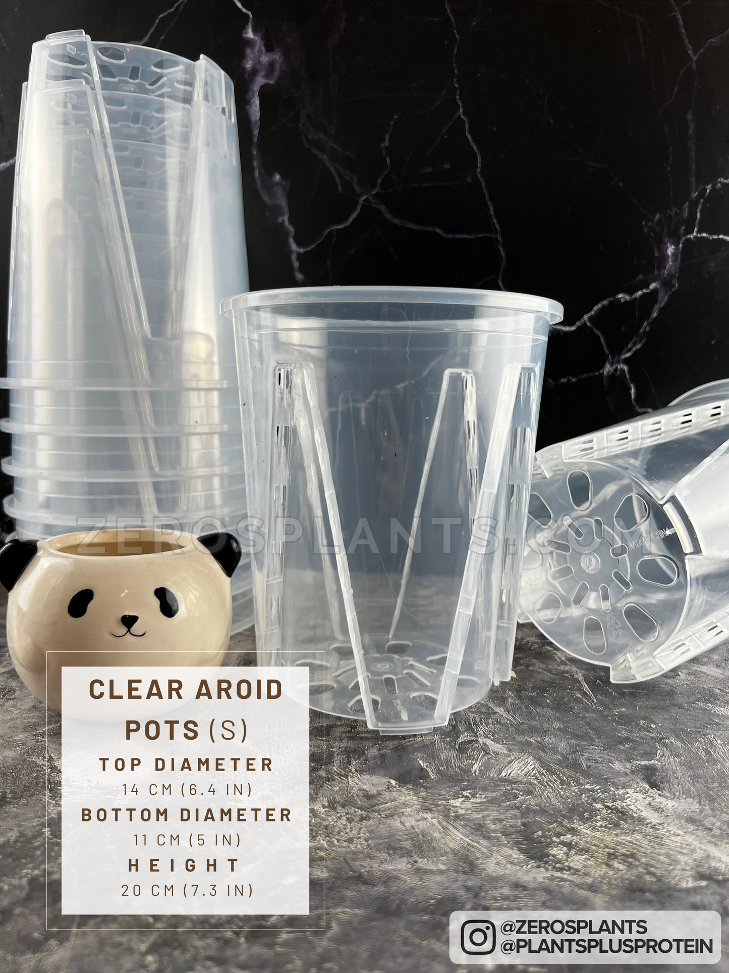 Aroid pots