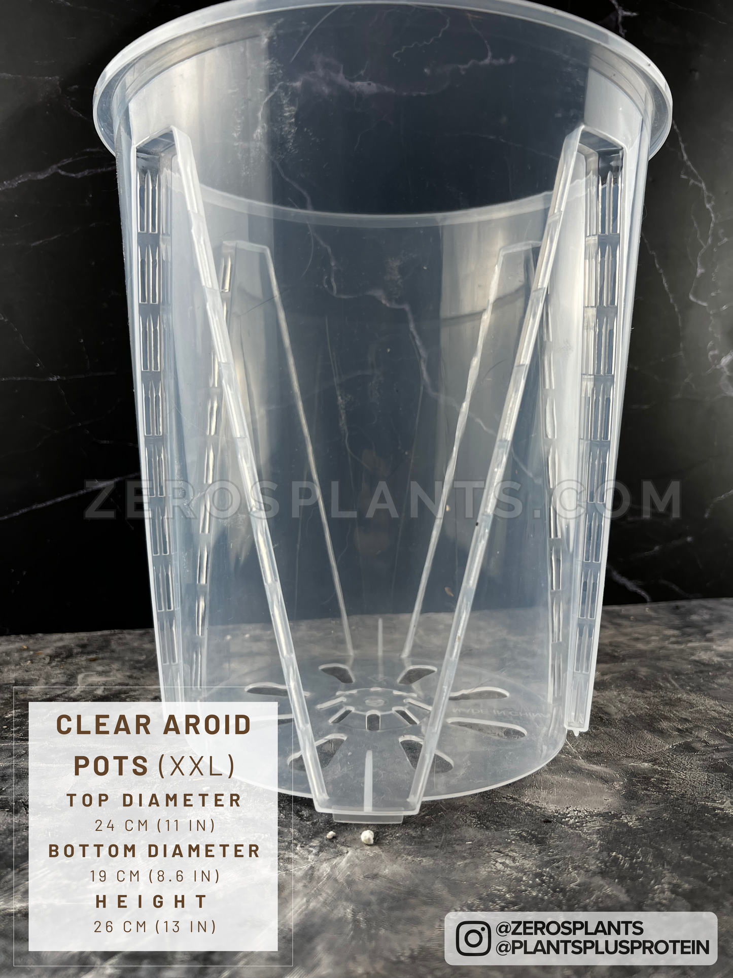 Aroid pots